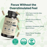 VINATURA Shilajit Capsules bottle with white background