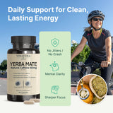 VINATURA Yerba Mate B-Complex capsules with packaging