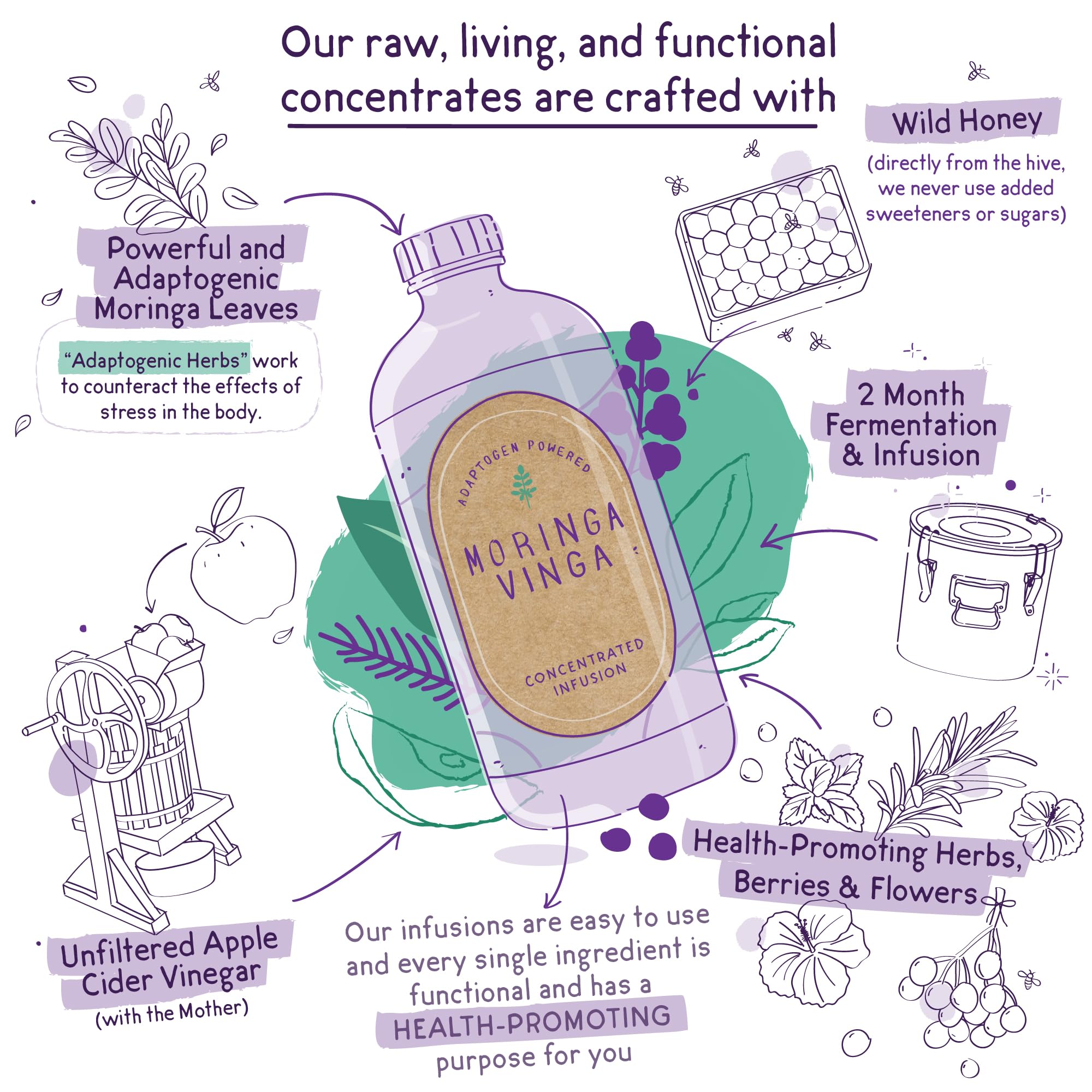 VINGA Blended Vitamin & Mineral Supplement side view