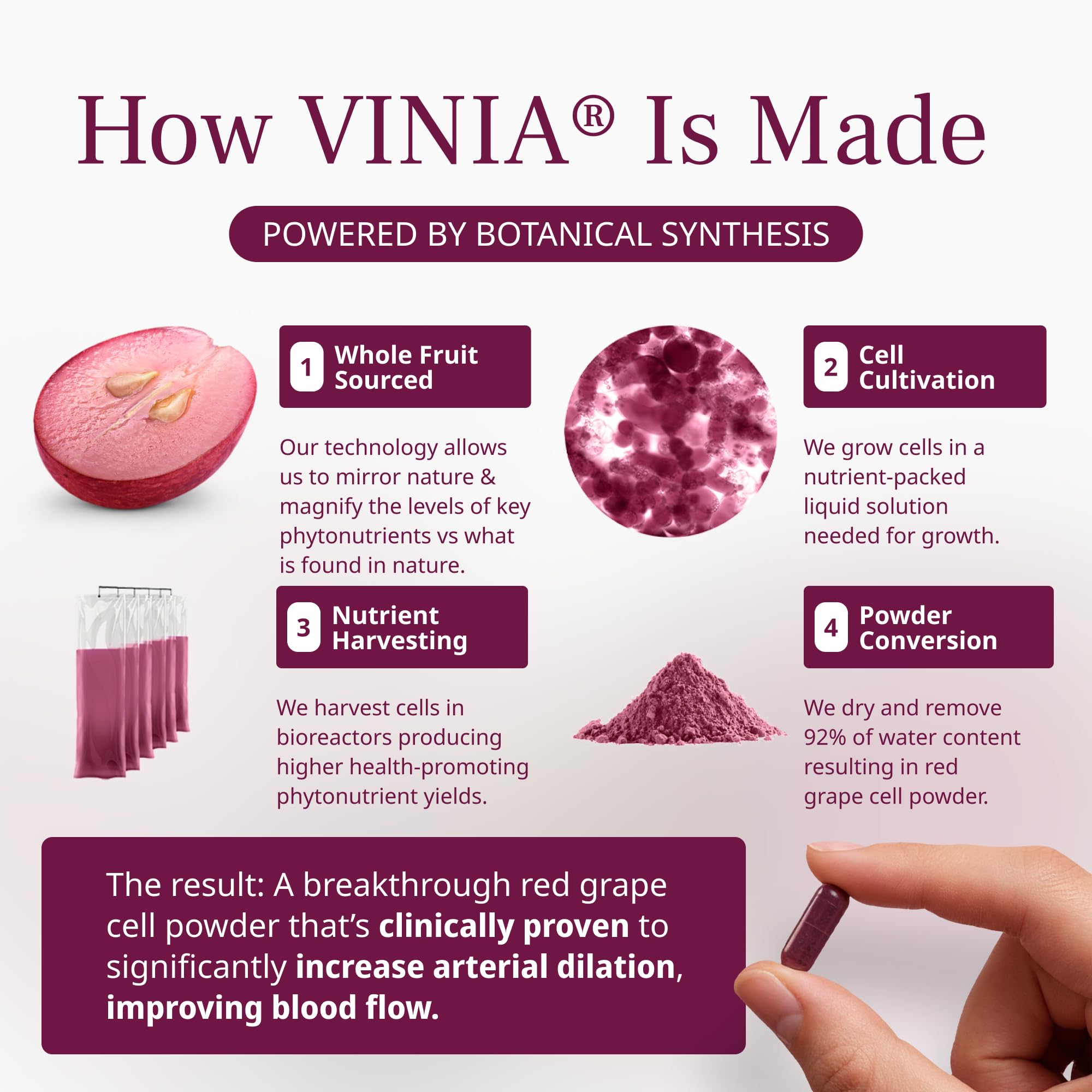VINIA Resveratrol Supplement packaging details