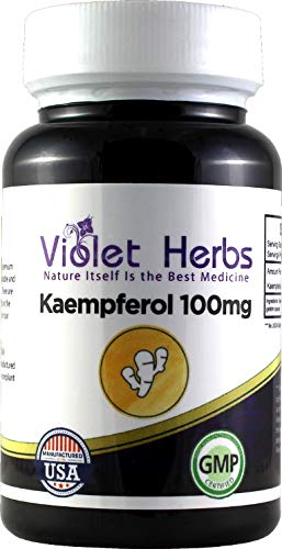 Violet Herbs Kaempferia Galangal Antioxidant Supplement 100mg front view