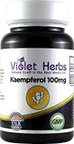 Violet Herbs Kaempferia Galangal Antioxidant Supplement 100mg front view