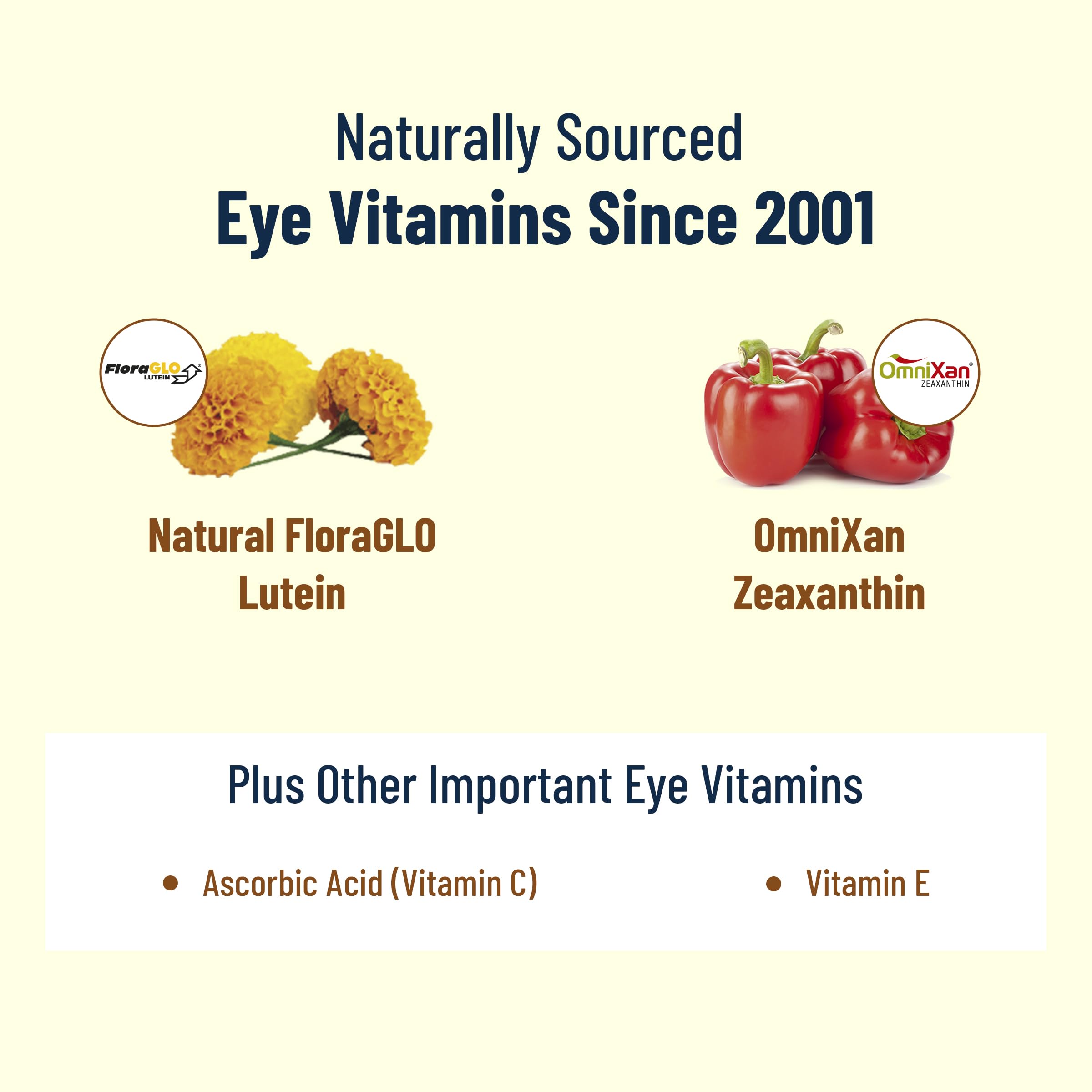 VisiVite Eye Health Supplement capsule close-up