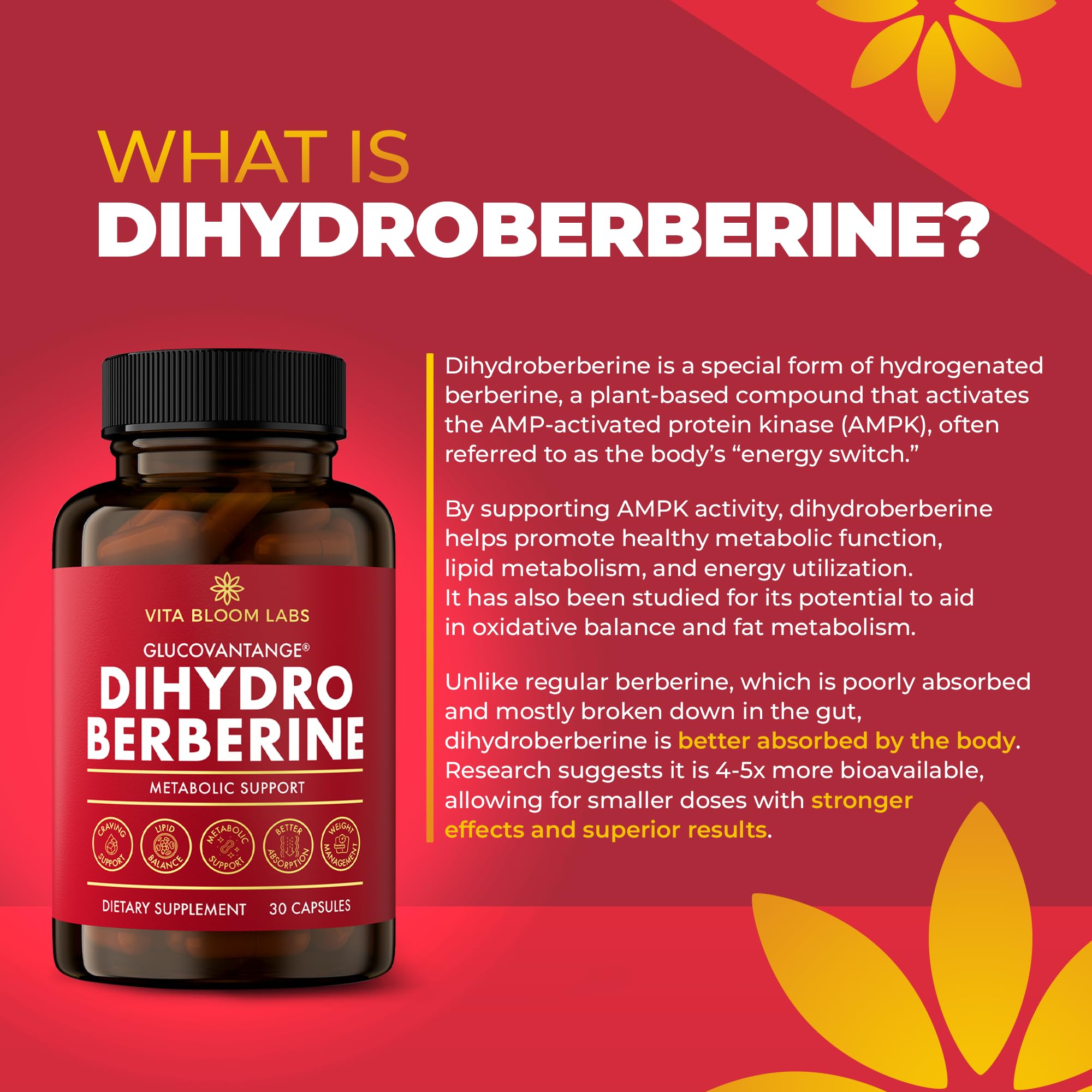 Vita Bloom Labs Dihydroberberine capsules close-up