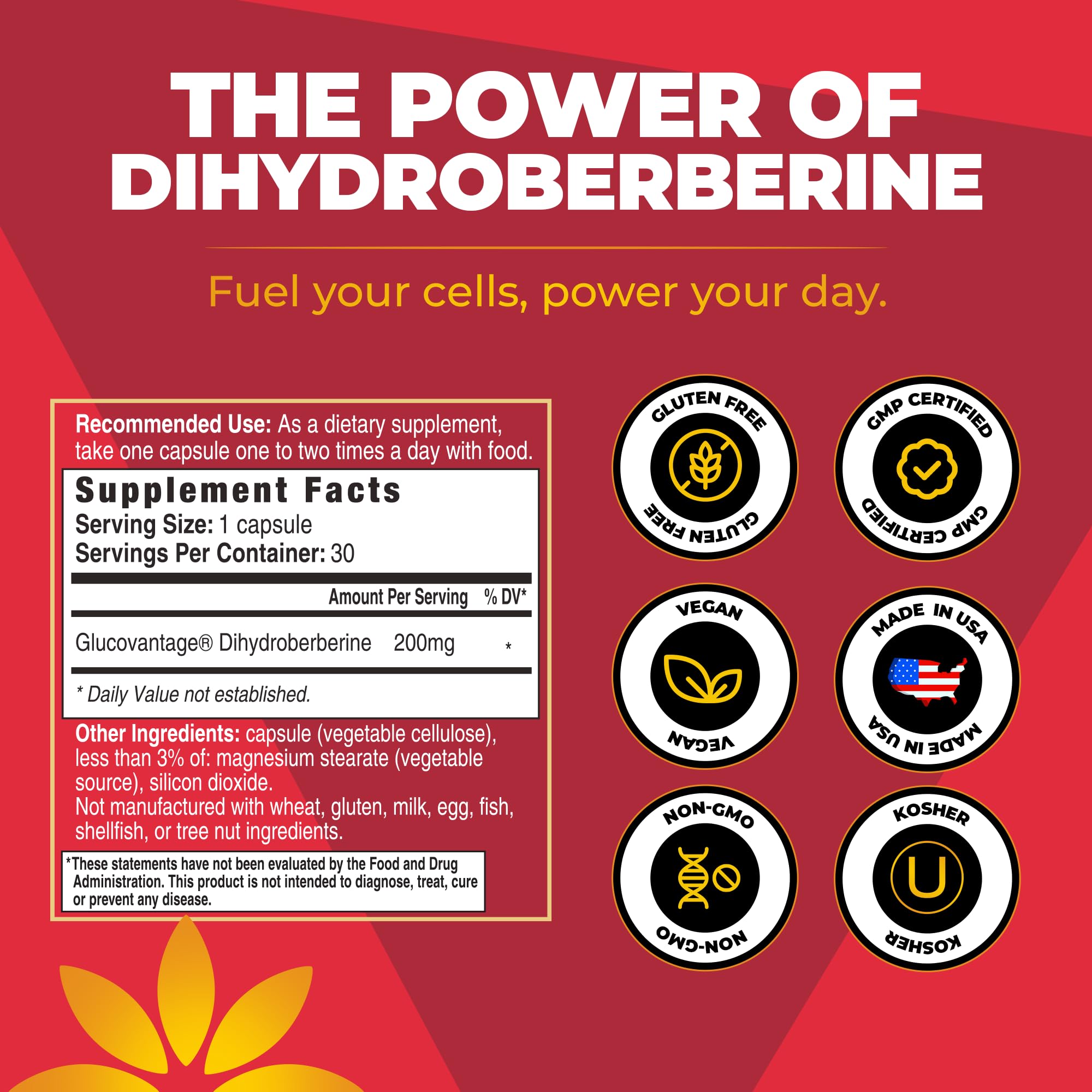 Vita Bloom Labs Dihydroberberine supplement in a wellness setting