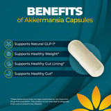 Vita Bloom Labs Probiotic Capsules ingredients list on the back