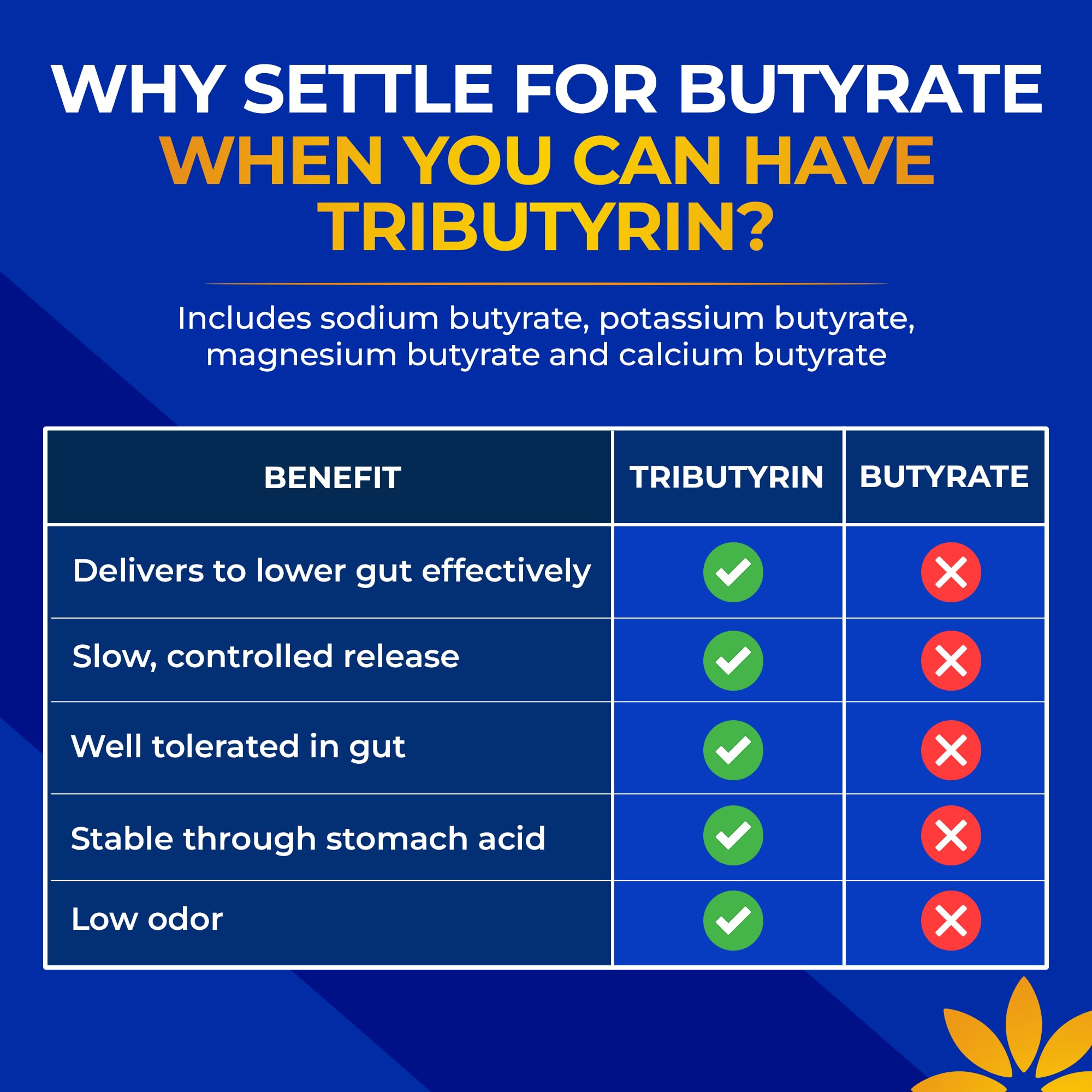 Vita Bloom Labs Tributyrin Postbiotic 55% back view