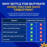 Vita Bloom Labs Tributyrin Postbiotic 55% back view