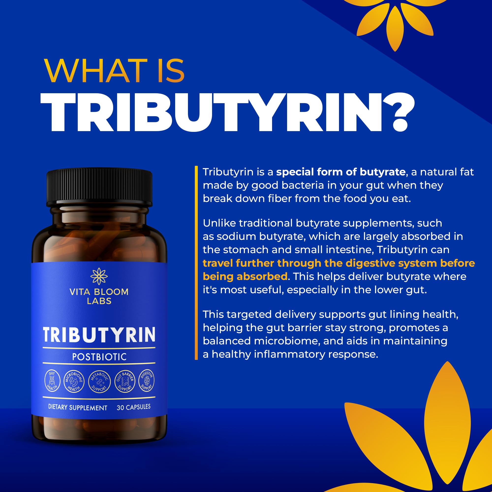 Vita Bloom Labs Tributyrin Postbiotic 55% side view