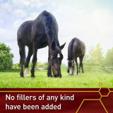 Vita Flex Pure C Vitamin C powder with a horse nearby