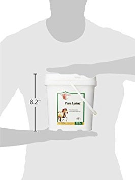 Vita Flex Pure L-Lysine supplement packaging details