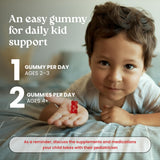 VITA GLOBE Kids Multivitamin Gummies ingredients list
