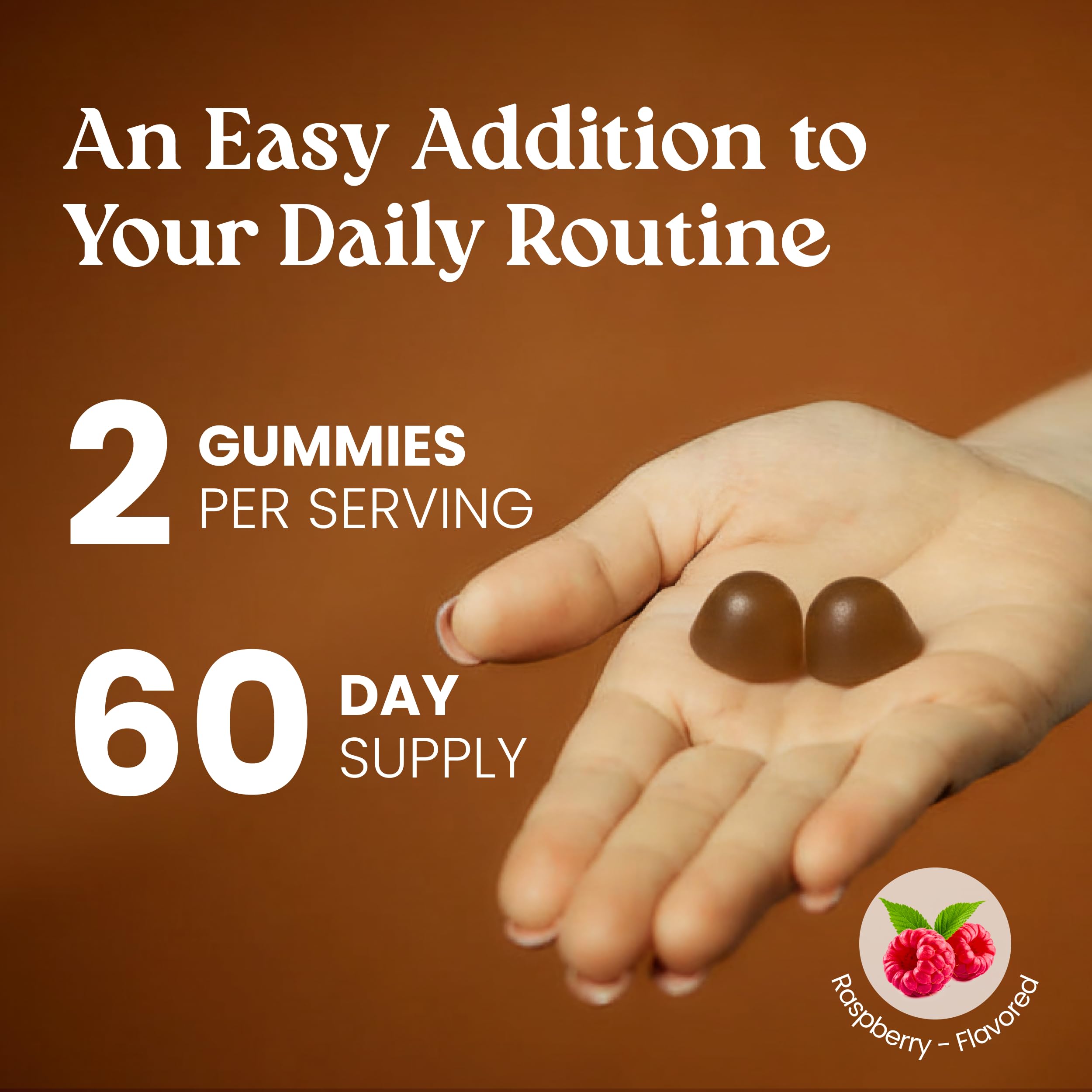 VITA GLOBE Mushroom Complex Gummies displayed with a measuring spoon