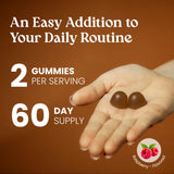 VITA GLOBE Mushroom Complex Gummies displayed with a measuring spoon