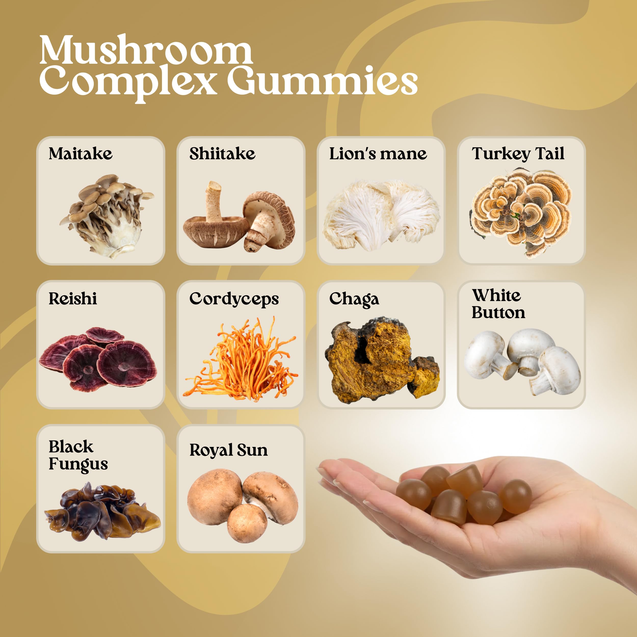 VITA GLOBE Vital Mushroom Complex Gummies nutritional information on back