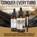 Vita Guard Himalayan Shilajit Liquid Drops in a kitchen setting