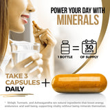Vita Guard Shilajit Supplement displayed with herbal ingredients