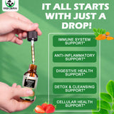 Vita letuo Moringa Liquid Drops bottle with dosage dropper