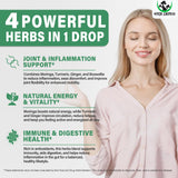 Vita letuo Moringa Liquid Drops with fresh ingredients like turmeric and ginger