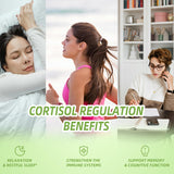 Vita PLynxera Cortisol Supplement Liquid Drops ingredients list