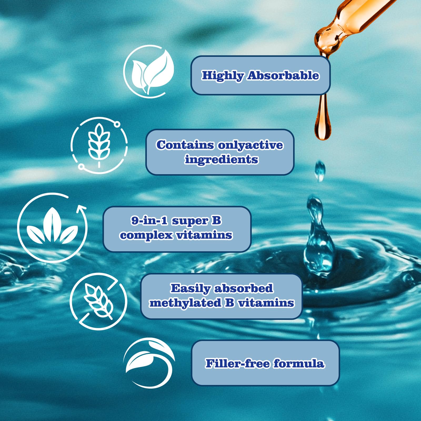 Vita PLynxera Methylated B Complex Liquid Drops with ingredients list