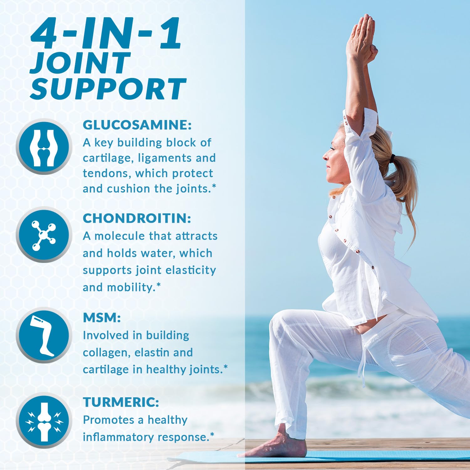 VitaBreeze Chondroitin Supplement ingredients list