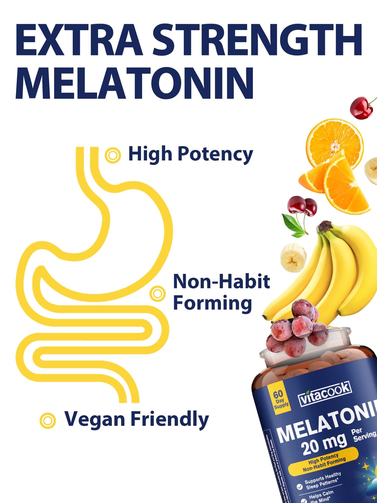 Vitacook Extra Strength Melatonin Tablets back view, ingredient list