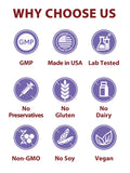 Vitacook Iron Glycinate Capsules 65mg ingredients list