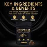 Vitacore Shilajit Gummies with travel accessories