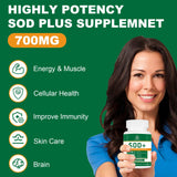 VITACRLLYNMN Antioxidant Supplement packaging on a white background