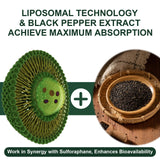 VITACRLLYNMN Liposomal Sulforaphane 900mg capsule close-up