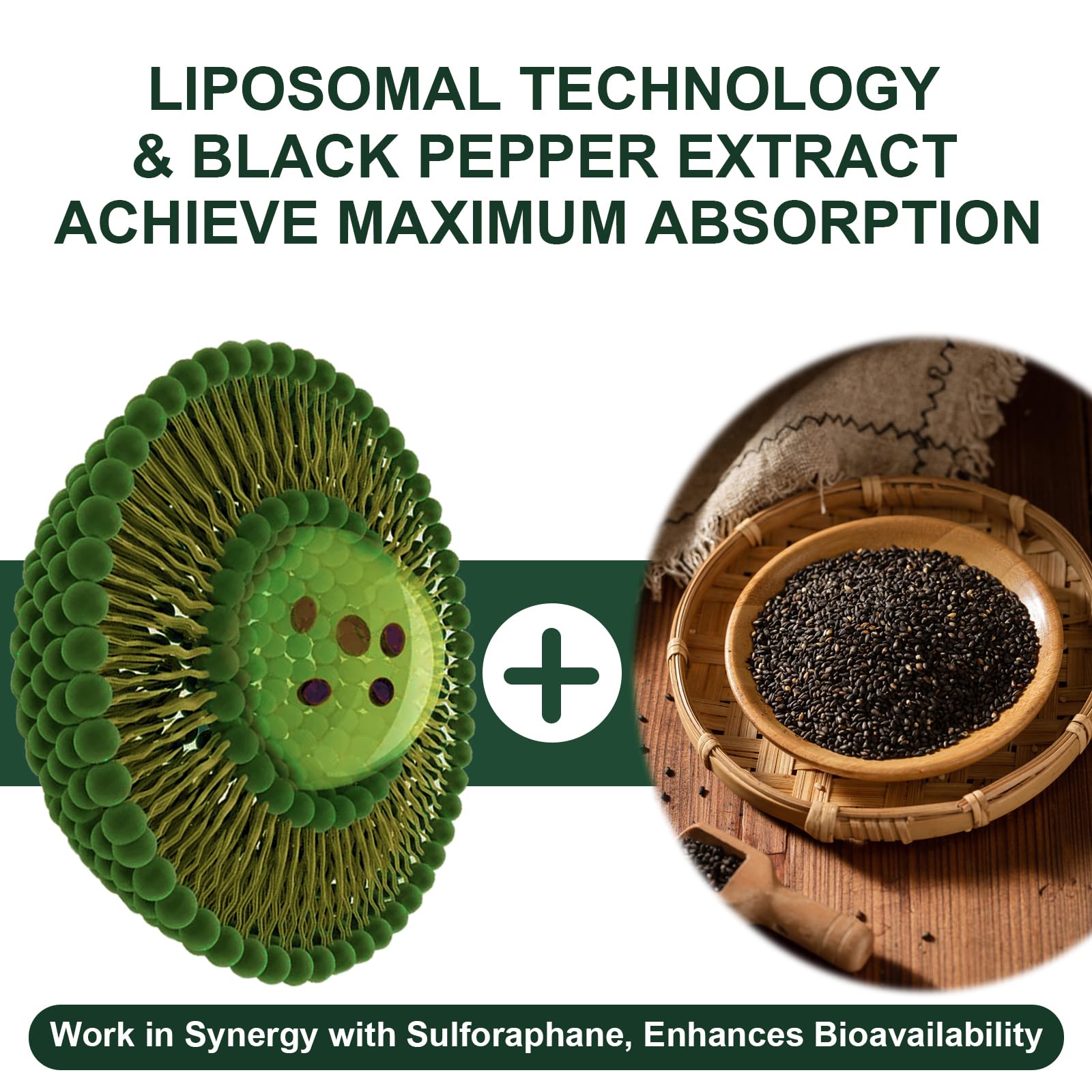 VITACRLLYNMN Liposomal Sulforaphane 900mg supplement capsule close-up