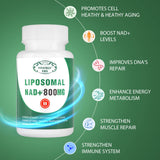 VITACRLLYNMN NAD+ Supplement Liposomal 800MG lifestyle scene
