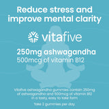 vitafive Ashwagandha Gummies side view with nutritional information