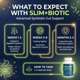 VitaFix Probiotic Prebiotic Capsules in a lifestyle setting