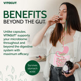 VITAGUT Liquid Probiotics Prebiotic Drink 558g packaging