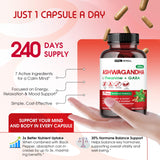 VITAL HERBAL St. John's Wort Capsules in a lifestyle setting