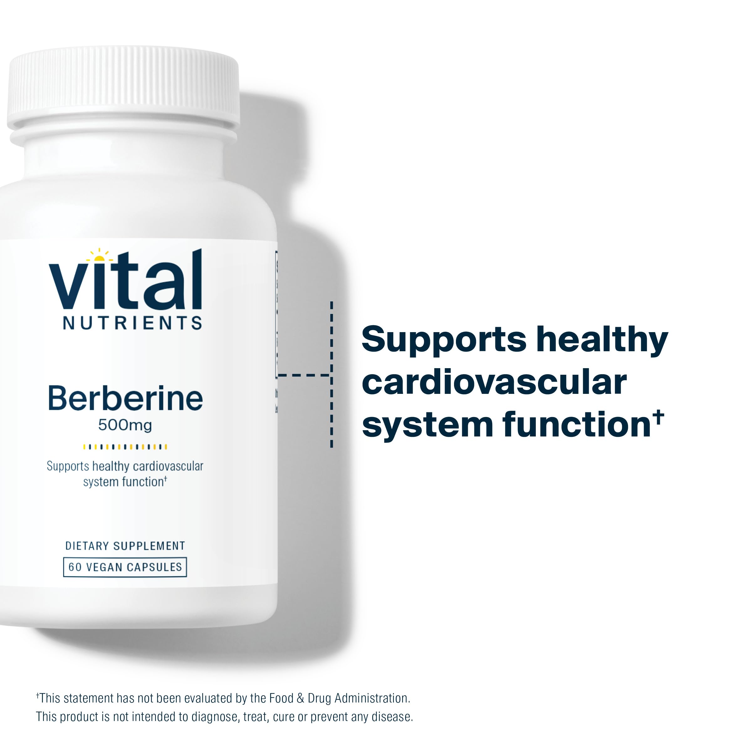 Vital Nutrients Berberine Supplement 1000mg vegan capsules lifestyle scene