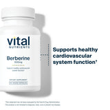 Vital Nutrients Berberine Supplement 1000mg vegan capsules lifestyle scene