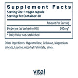 Vital Nutrients Berberine Supplement 1000mg vegan capsules side view