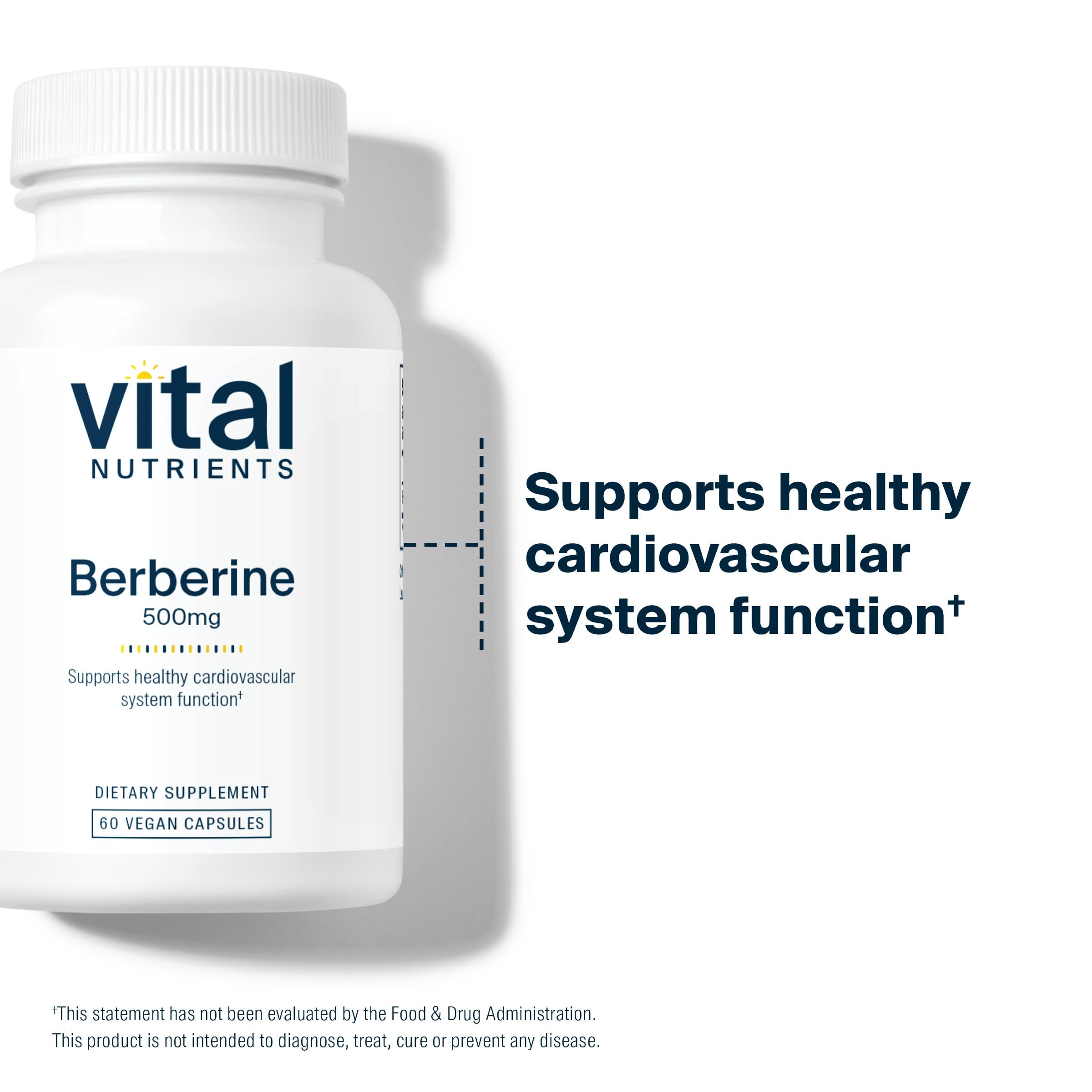 Vital Nutrients Berberine Supplement 1000mg vegan capsules with ingredients list