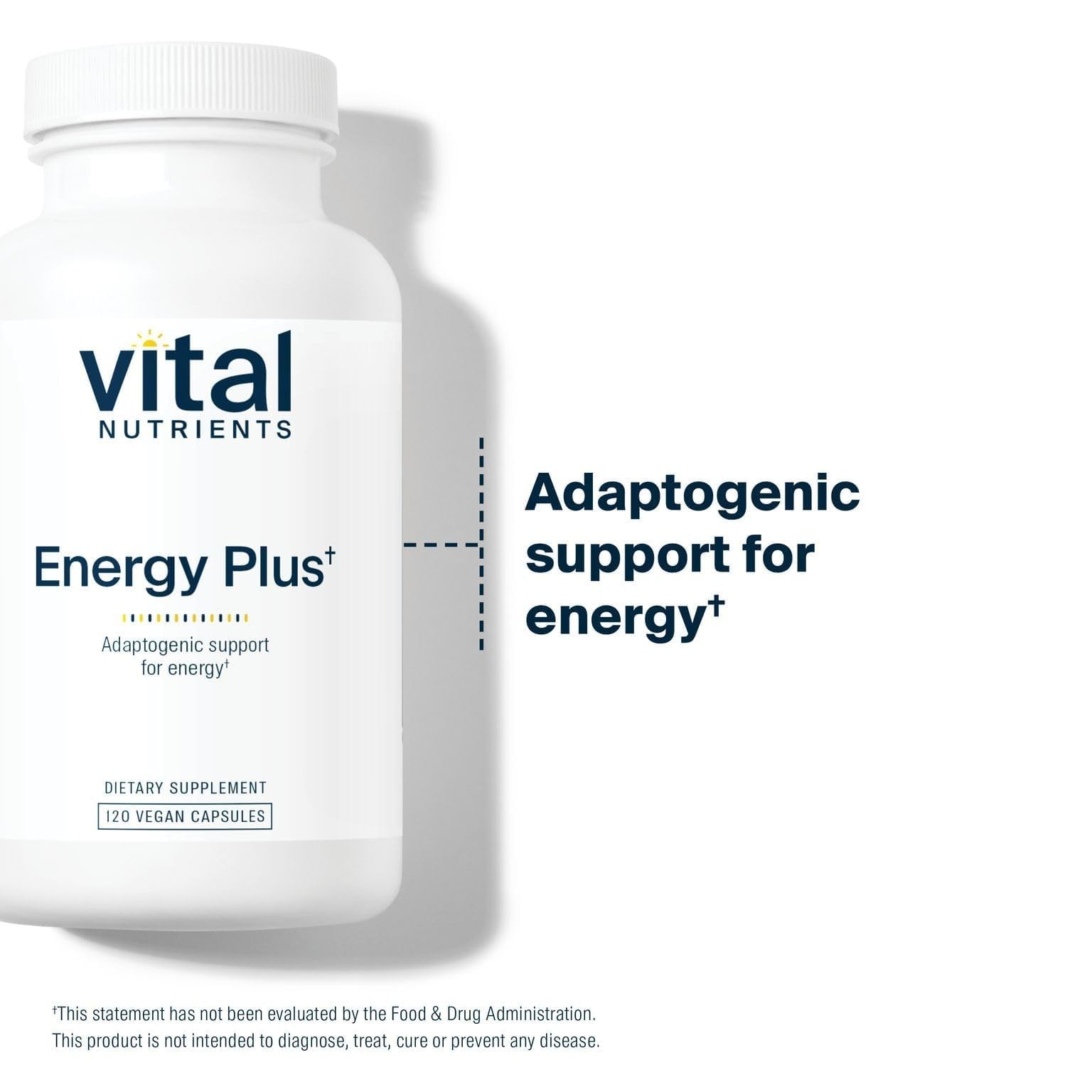 Vital Nutrients Energy Plus Ginseng Capsules back view with ingredients
