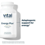 Vital Nutrients Energy Plus Ginseng Capsules back view with ingredients