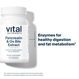 Vital Nutrients Ox Bile daily Enzyme Supplement 500mg capsule close-up