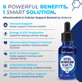VITAL NUTRITIVE Methylene Blue Drops 1% bottle with dropper