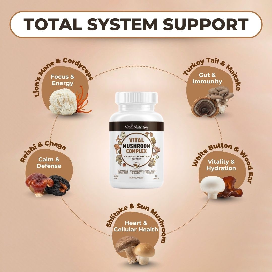 VITAL NUTRITIVE Mushroom Complex capsules in hand