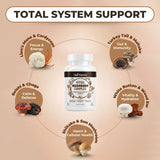 VITAL NUTRITIVE Mushroom Complex capsules in hand
