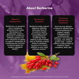 Vital Peak Berberine Supplement 1000mg in a hand