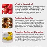 Vital Peak Berberine Supplement 1000mg packaging details