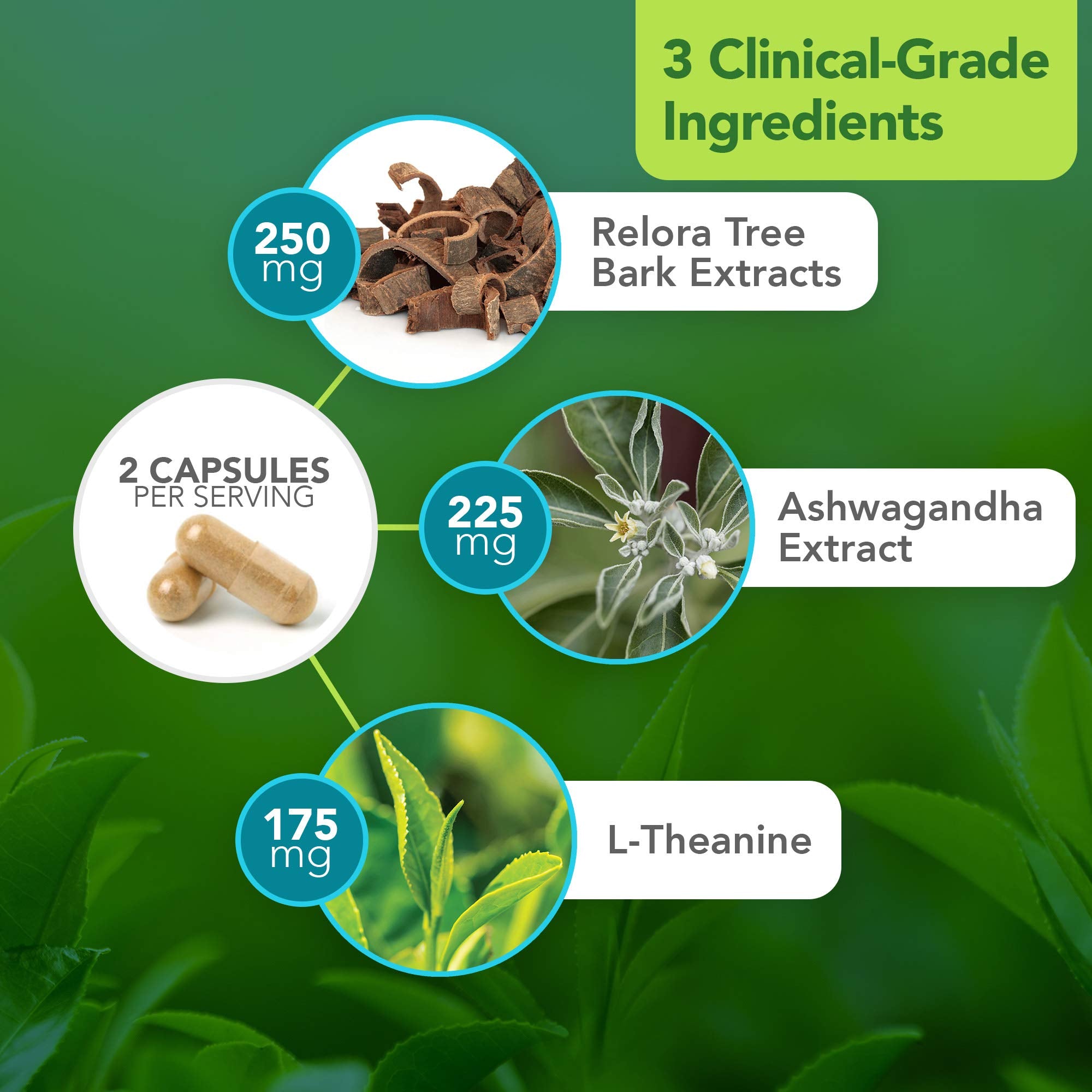 Vital Plan HPA Balance Adrenal Support Supplement ingredients list